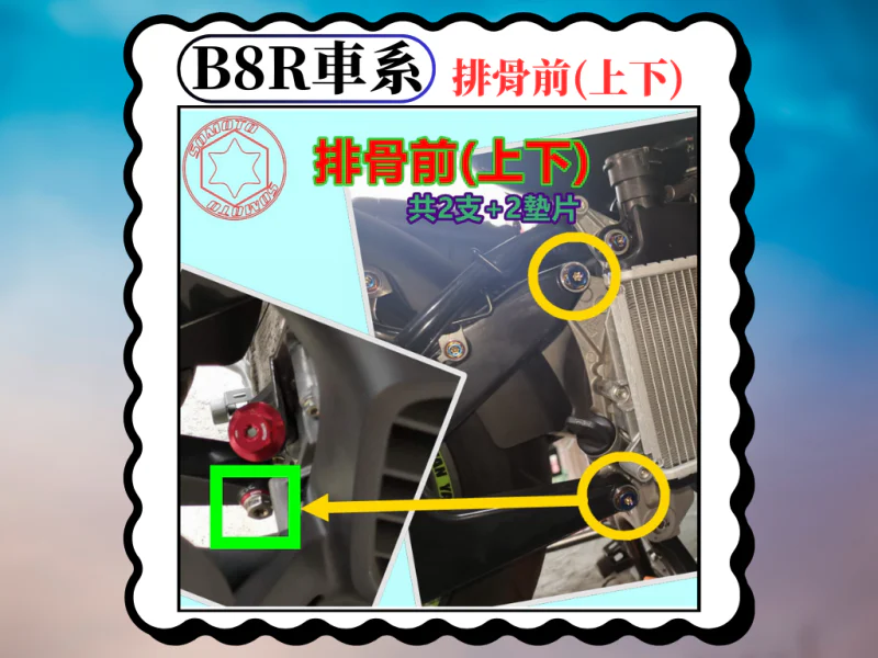B8R 車系專用 排骨前段/後搖臂上下鎖點白鐵螺絲組