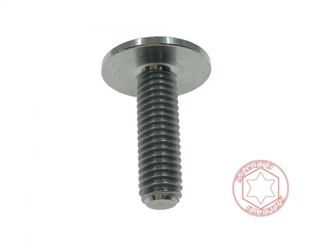 SOMOTO 【鈦合金】車牌螺絲 UFO M6X20 原色